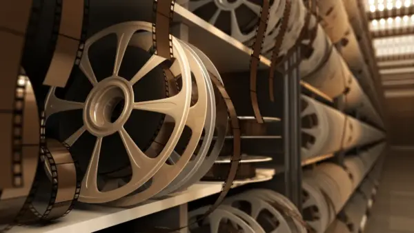 Over 45 Years of Show Group: Stories from the Inside