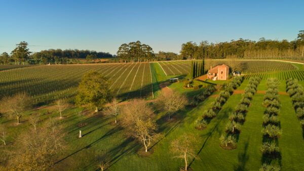 LOCATION SPOTLIGHT: Pemberton, Western Australia